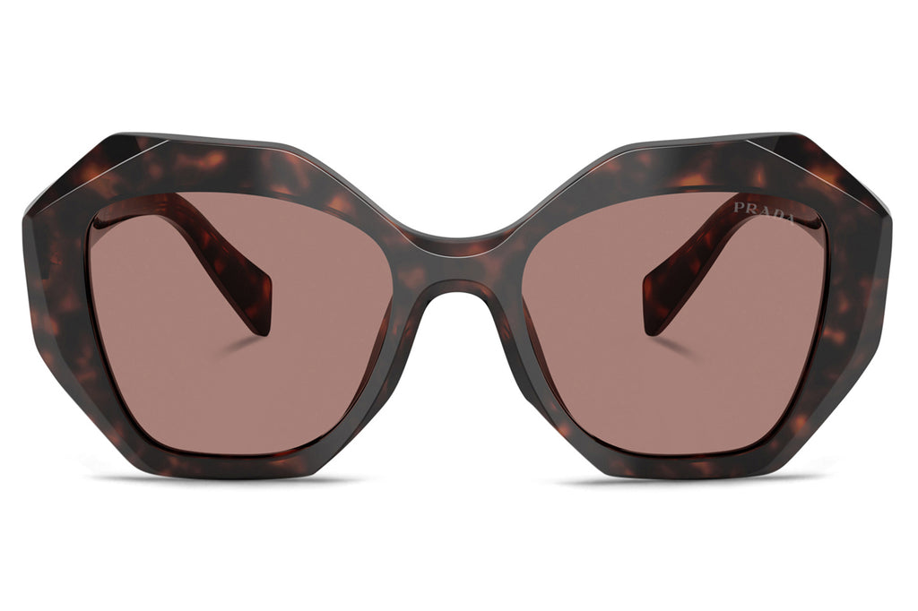 Prada - PR 16WS Sunglasses Root Tortoise with Light Brown Lenses (17N60B)