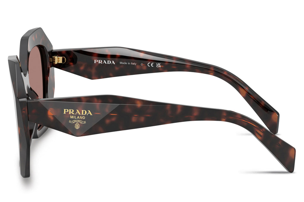 Prada - PR 16WS Sunglasses Root Tortoise with Light Brown Lenses (17N60B)