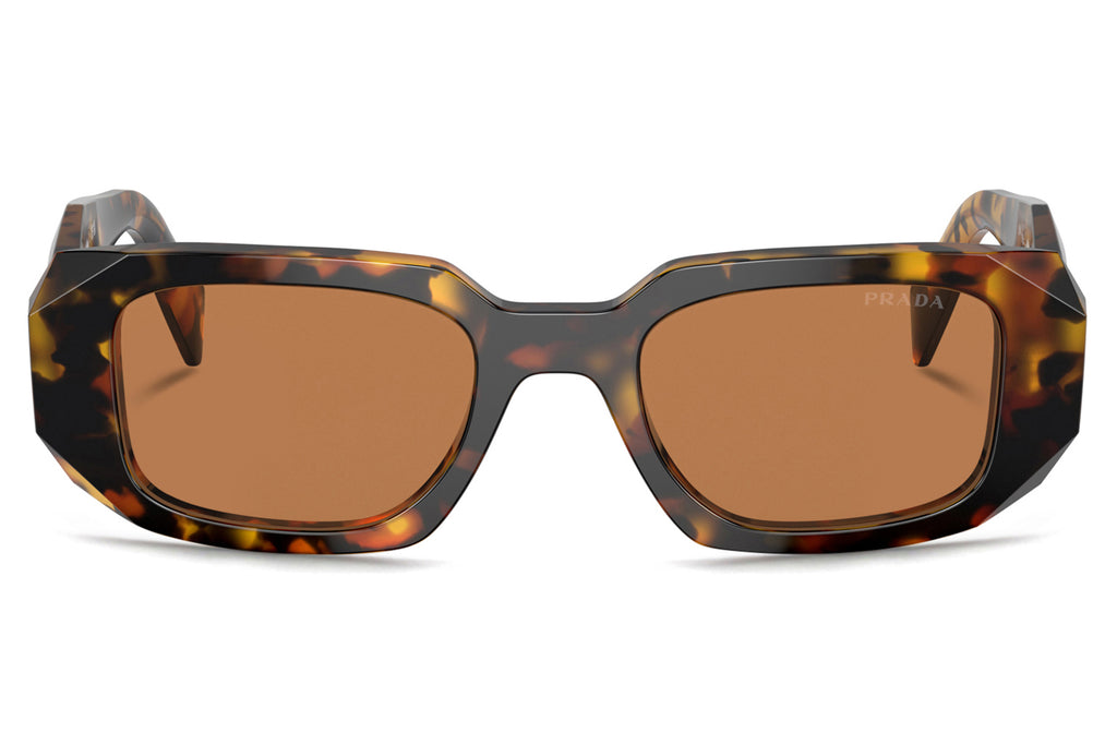 Prada - PR 17WSF (Low Bridge Fit) Sunglasses Honey Tortoise with Dark Brown Lenses (VAU2Z1)