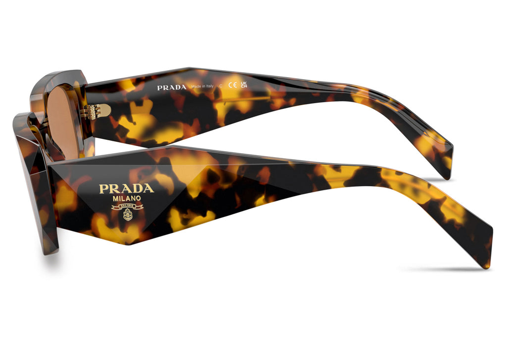 Prada - PR 17WSF (Low Bridge Fit) Sunglasses Honey Tortoise with Dark Brown Lenses (VAU2Z1)