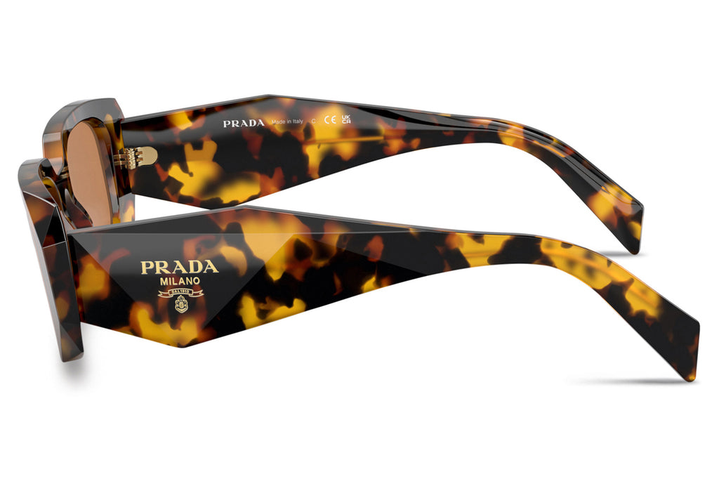 Prada - PR 17WS Sunglasses Honey Tortoise with Dark Brown Lenses (VAU2Z1)