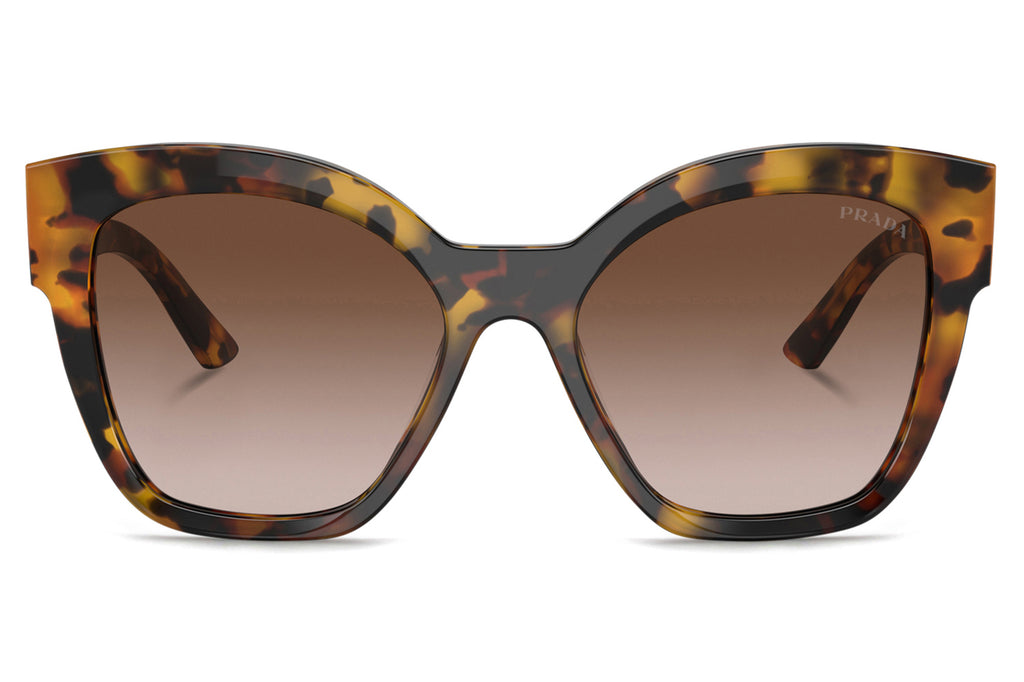 Prada - PR 17ZSF (Low Bridge Fit) Sunglasses Honey Tortoise with Brown Gradient Lenses (VAU6S1)