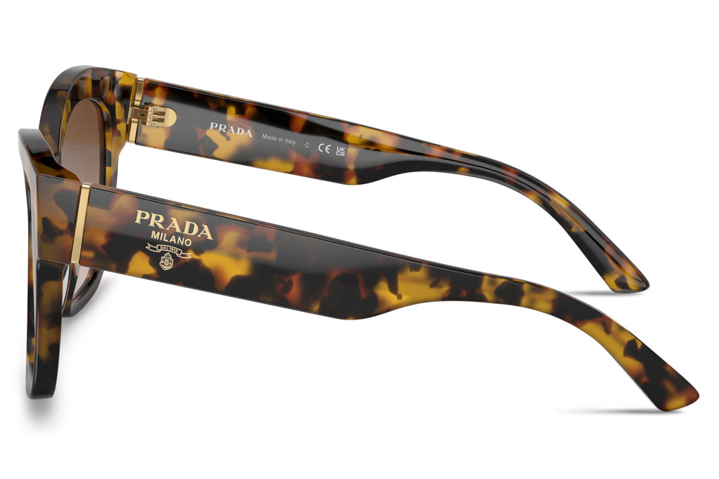 Prada - PR 17ZSF (Low Bridge Fit) Sunglasses Honey Tortoise with Brown Gradient Lenses (VAU6S1)