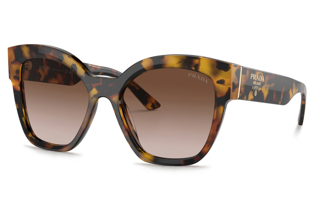 Prada - PR 17ZSF (Low Bridge Fit) Sunglasses Honey Tortoise with Brown Gradient Lenses (VAU6S1)