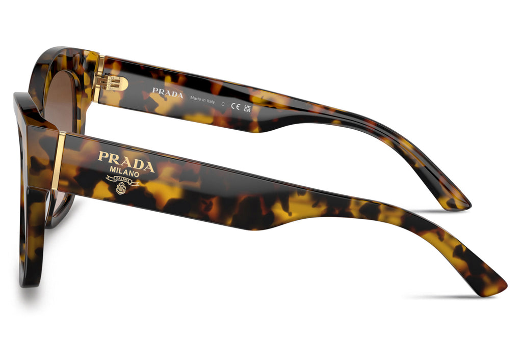 Prada - PR 17ZS Sunglasses Honey Tortoise with Brown Gradient Lenses (VAU6S1)