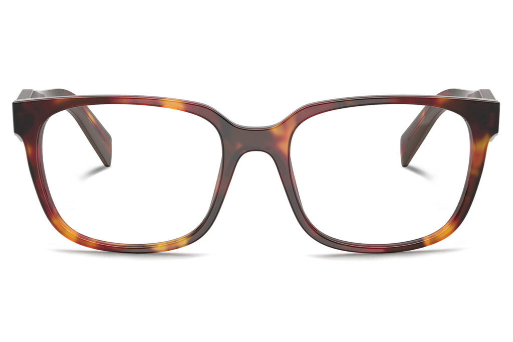 Prada - PR 17ZV Eyeglasses Poppy Tortoise (22A1O1)