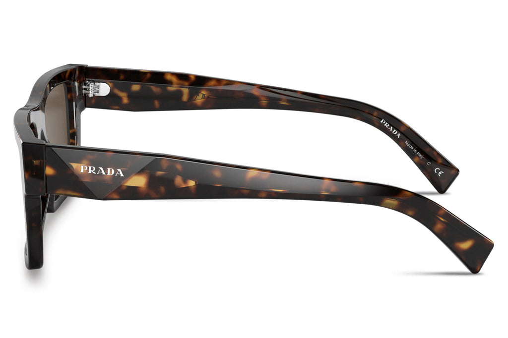 Prada - PR 19WS Sunglasses Tortoise with Dark Brown Lenses (2AU8C1)