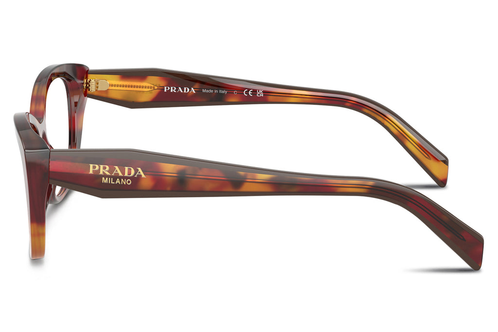 Prada - PR 19WV Eyeglasses Poppy Tortoise (22A1O1)