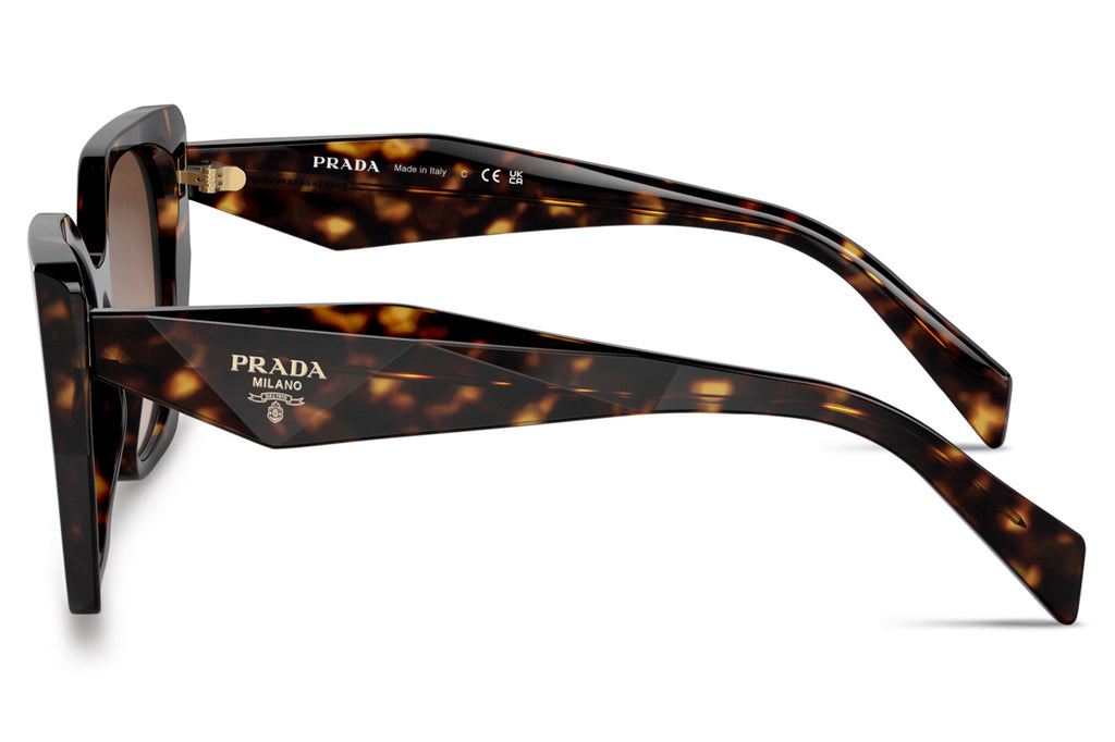 Prada - PR 19ZS Sunglasses Tortoise with Brown Gradient Lenses (2AU6S1)