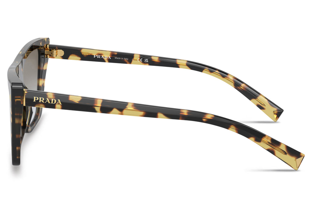 Prada - PR 21ZS Sunglasses Medium Tortoise with Grey Gradient Lenses (7S00A7)
