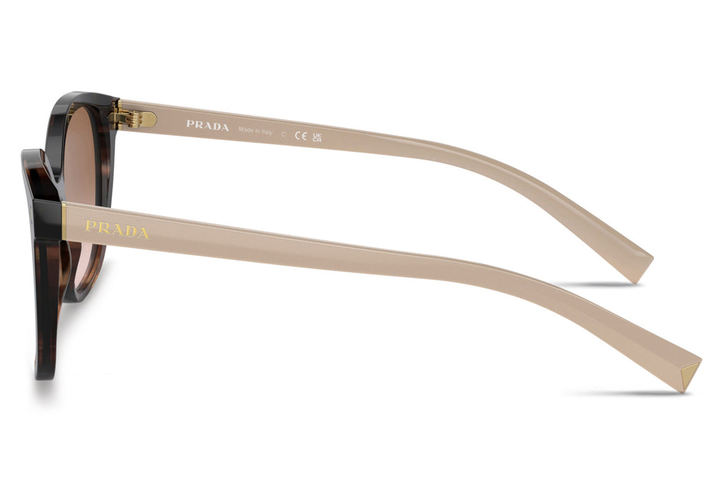 Prada - PR 22ZSF (Low Bridge Fit) Sunglasses Caramel Tortoise with Brown Gradient Lenses (07R0A6)