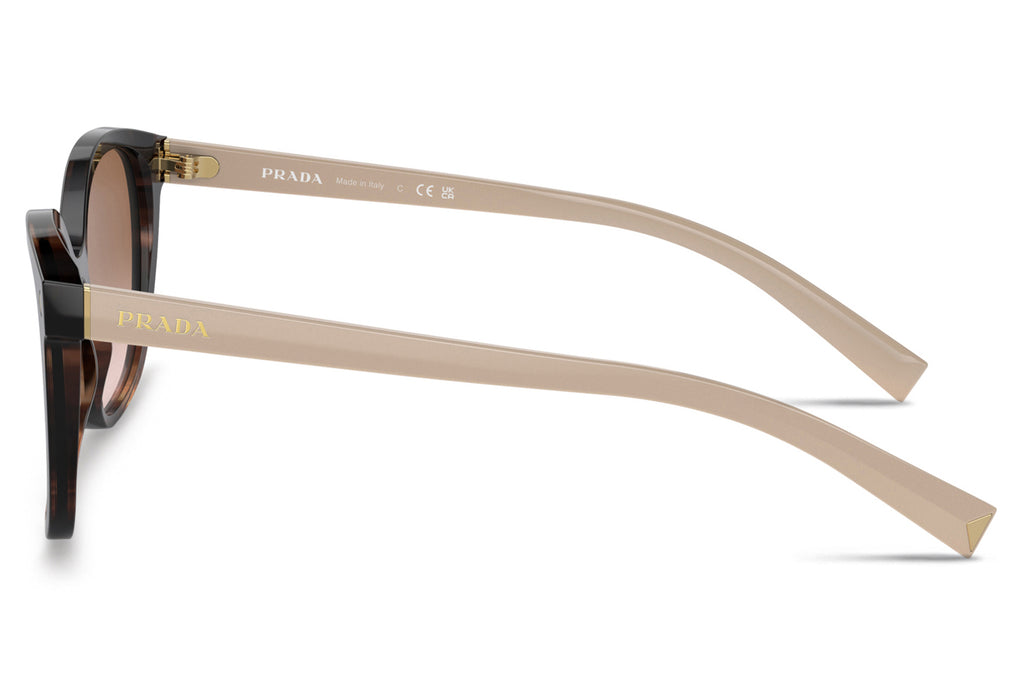 Prada - PR 22ZS Sunglasses Caramel Tortoise with Brown Gradient Lenses (07R0A6)