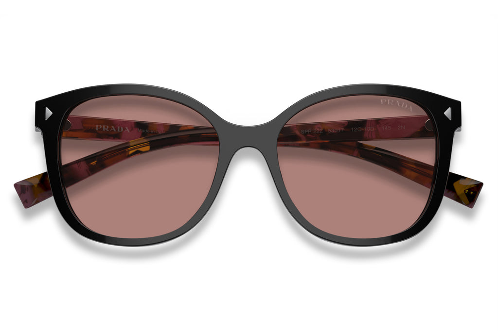 Prada - PR 22ZS Sunglasses Mogano with Light Brown Lenses (12O10D)