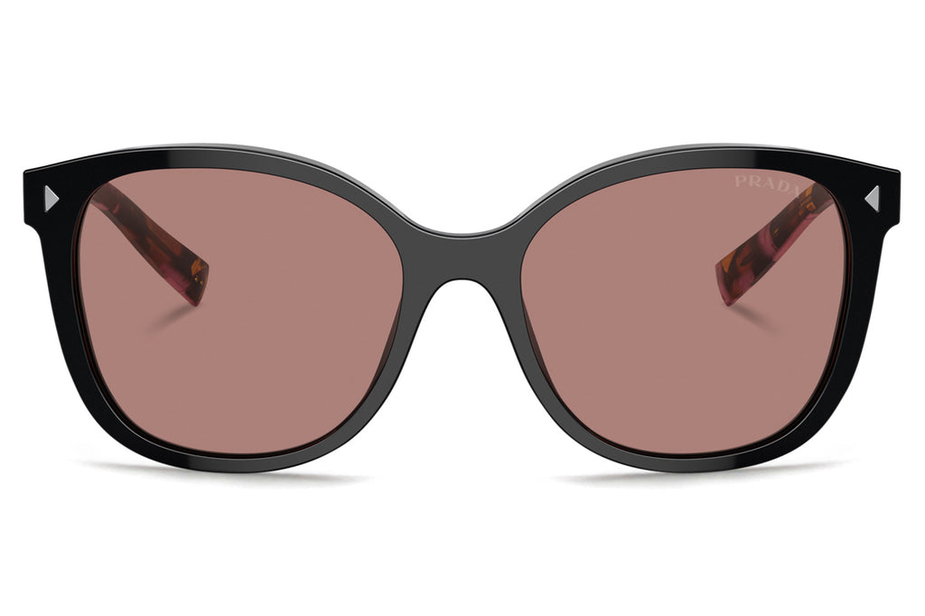 Prada - PR 22ZS Sunglasses Mogano with Light Brown Lenses (12O10D)