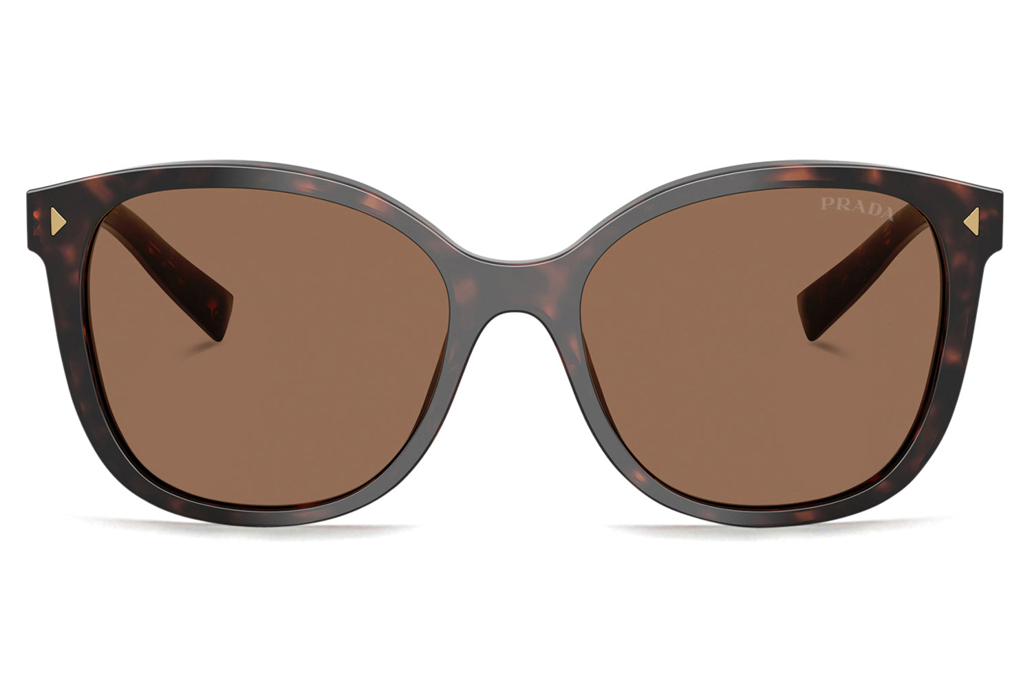 PRADA ブラウン サングラス Prada® - PR 22ZS | Soft Cat-Eye Acetate Sunglasses