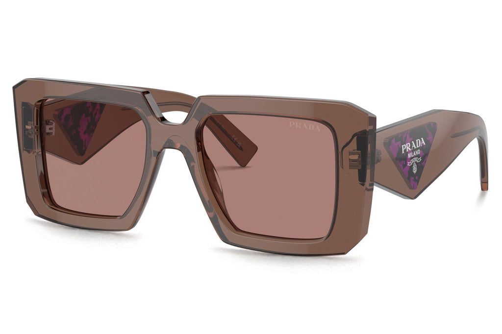 Prada - PR 23YSF (Low Bridge Fit) Sunglasses Transparent Brown with Light Brown Lenses (17O60B)