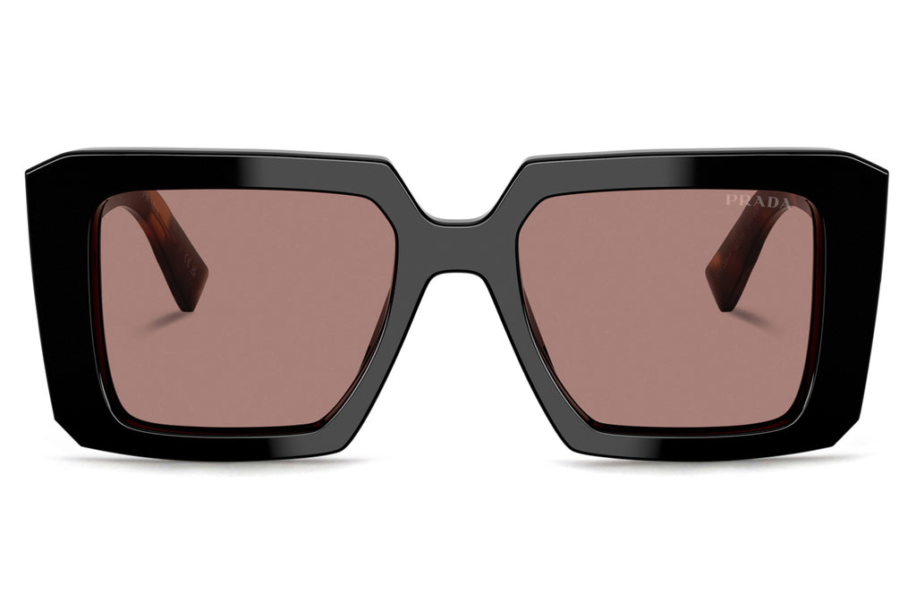 Prada - PR 23YSF (Low Bridge Fit) Sunglasses Black with Light Brown Lenses (27B60B)