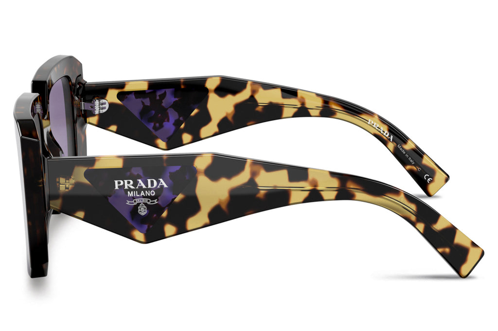 Prada - PR 23YS Sunglasses Black with Dark Grey Lenses (1AB5S0)
