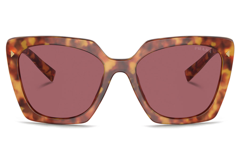 Prada - PR 23ZSF Sunglasses Light Tortoise with Dark Violet Lenses (4BW08S)
