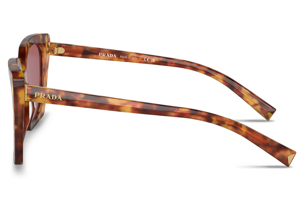 Prada - PR 23ZSF Sunglasses Light Tortoise with Dark Violet Lenses (4BW08S)