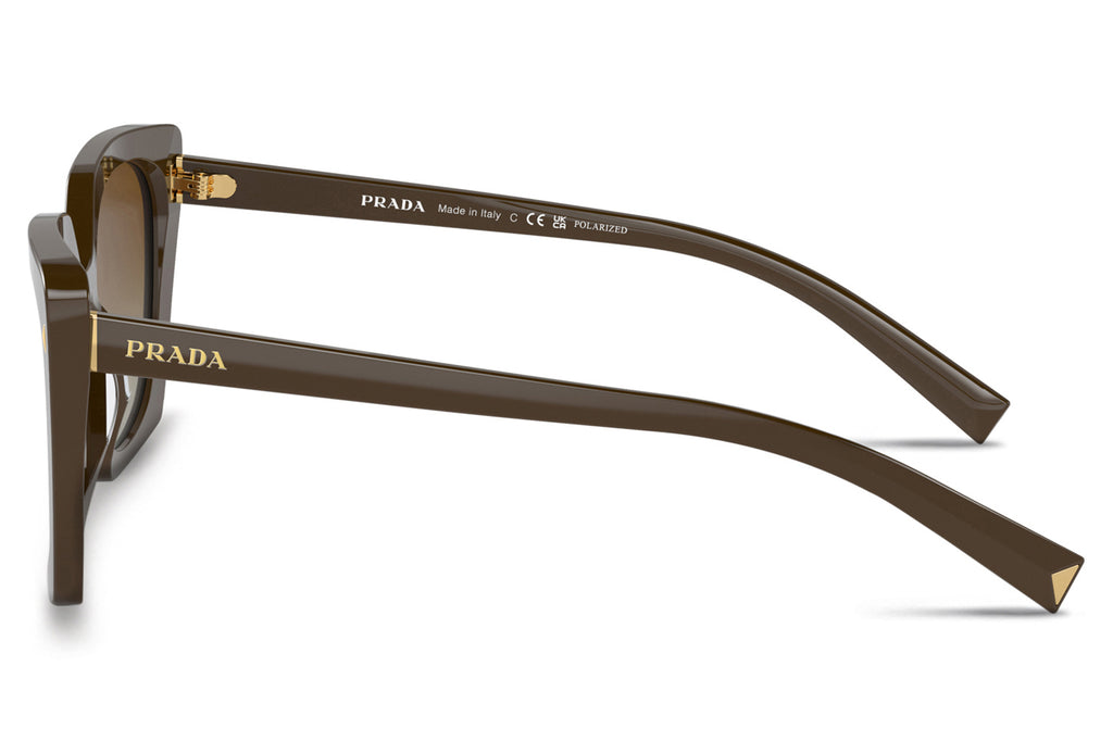 Prada - PR 23ZS Sunglasses Loden with Brown Gradient Polar Lenses (11J6E1)