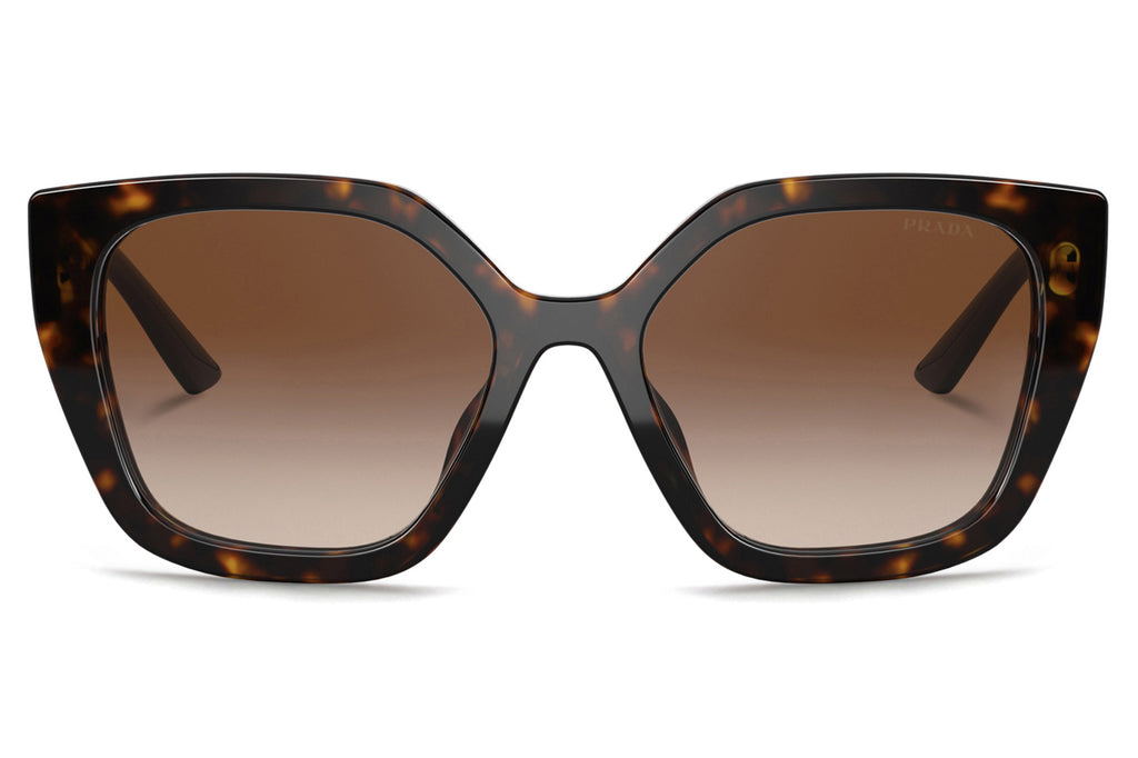 Prada - PR 24XS Sunglasses Havana with Brown Gradient Lenses (2AU6S1)