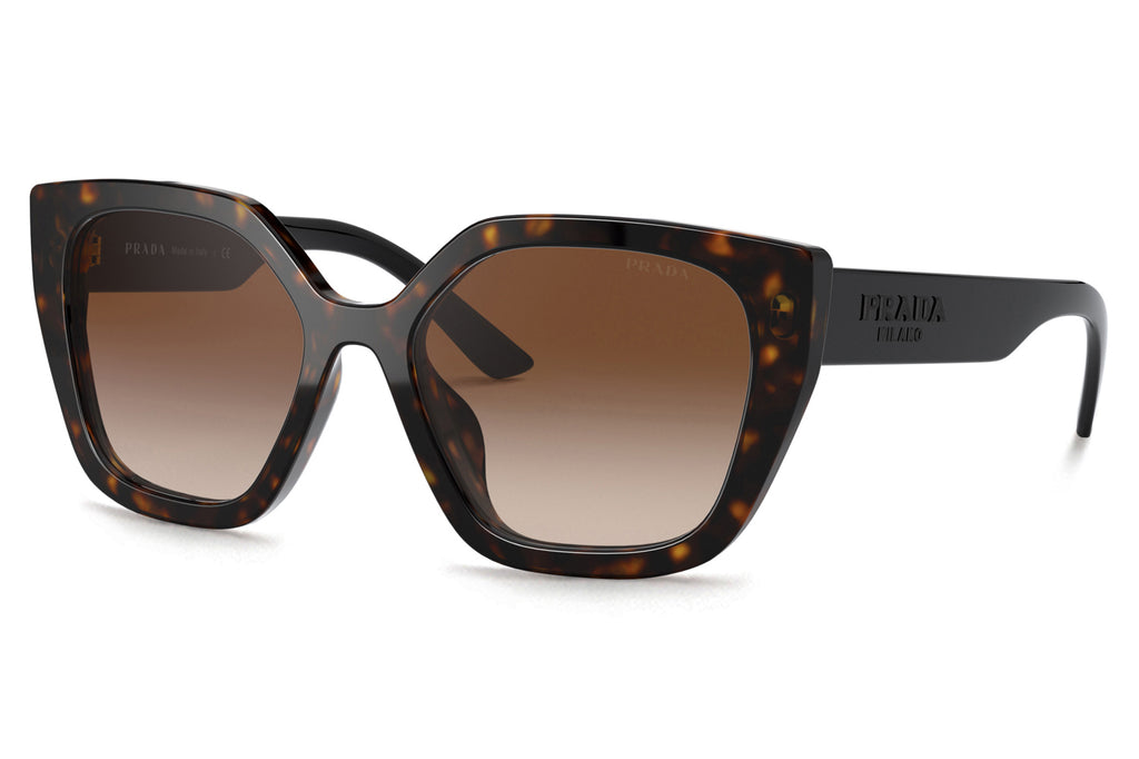 Prada - PR 24XS Sunglasses Havana with Brown Gradient Lenses (2AU6S1)