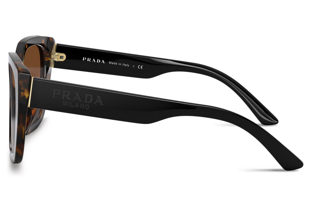 Prada - PR 24XS Sunglasses Havana with Brown Gradient Lenses (2AU6S1)