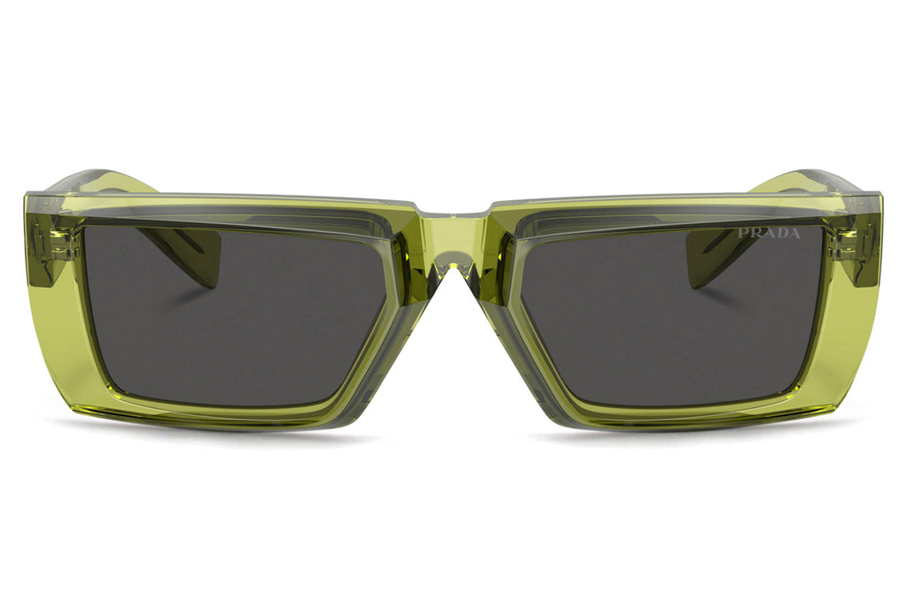 Prada - PR 24YS Sunglasses Crystal Fern with Dark Grey Lenses (19B5S0)