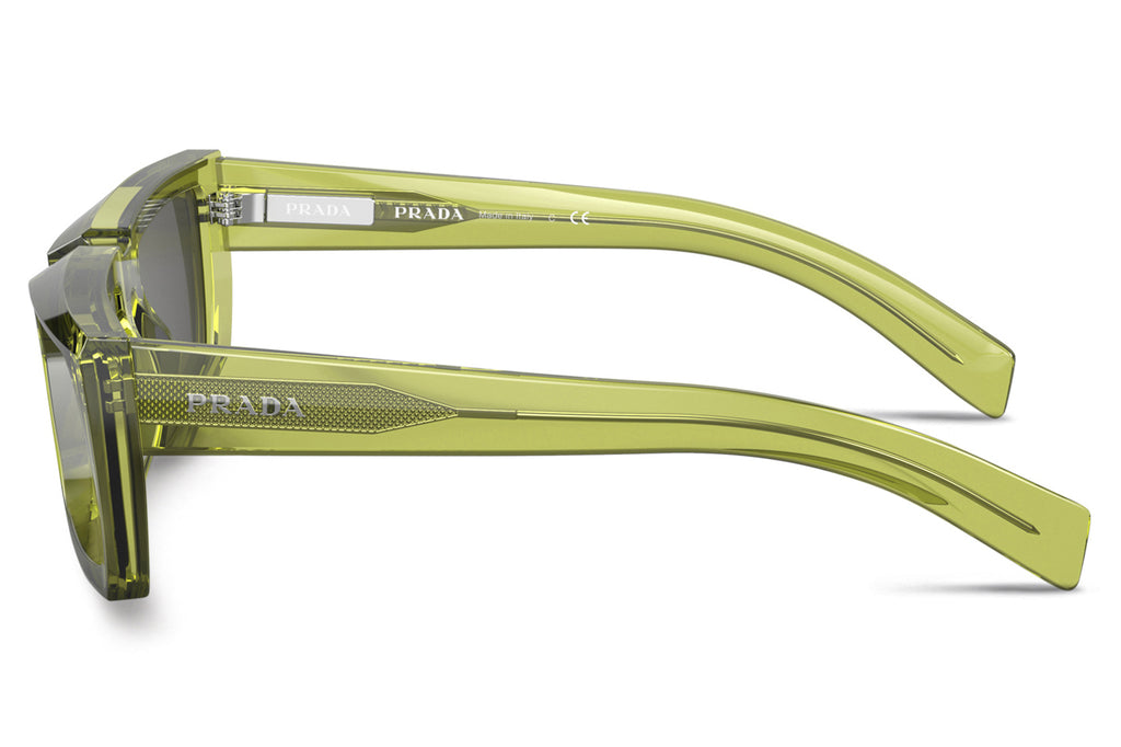 Prada - PR 24YS Sunglasses Crystal Fern with Dark Grey Lenses (19B5S0)
