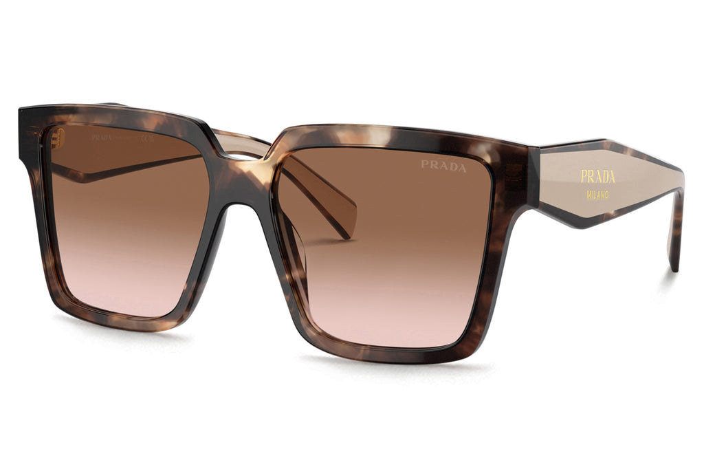 Prada - PR 24ZSF Sunglasses Caramel Tortoise with Brown Gradient Lenses (07R0A6)