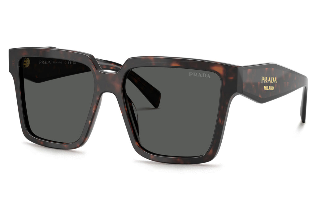 Prada - PR 24ZSF Sunglasses Root Tortoise with Dark Grey Lenses (17N40L)