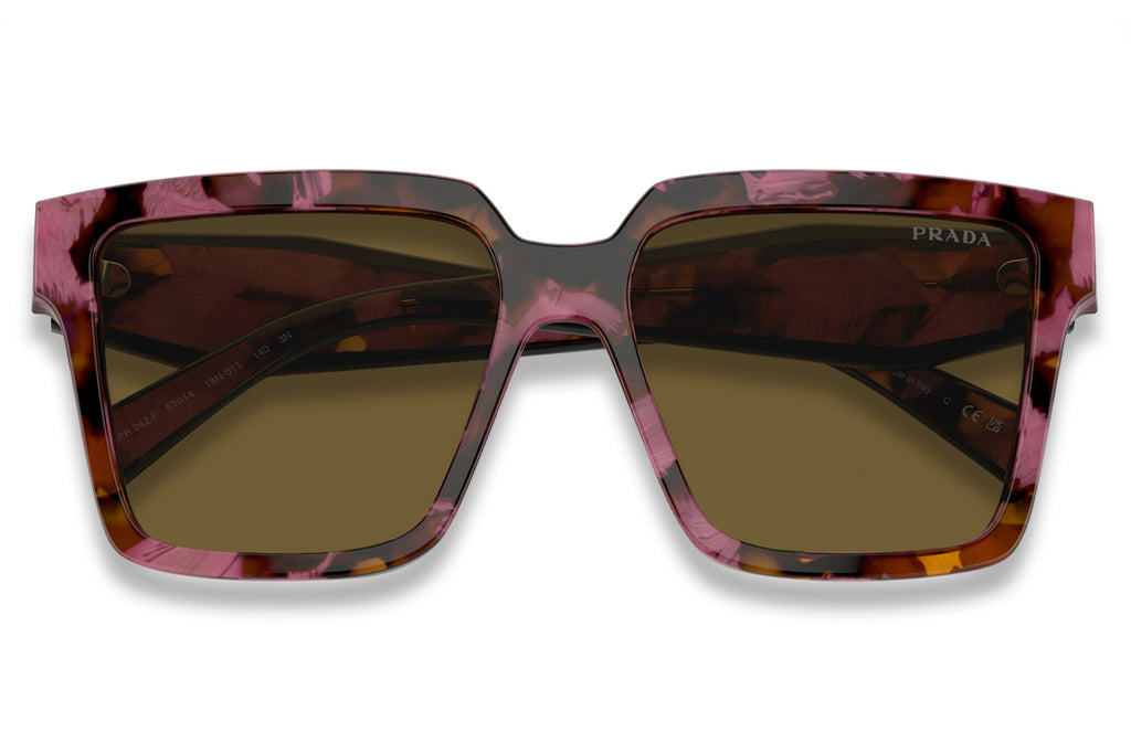 Prada - PR 24ZSF Sunglasses Tortoise Cognac Begonia with Dark Brown Lenses (18N01T)