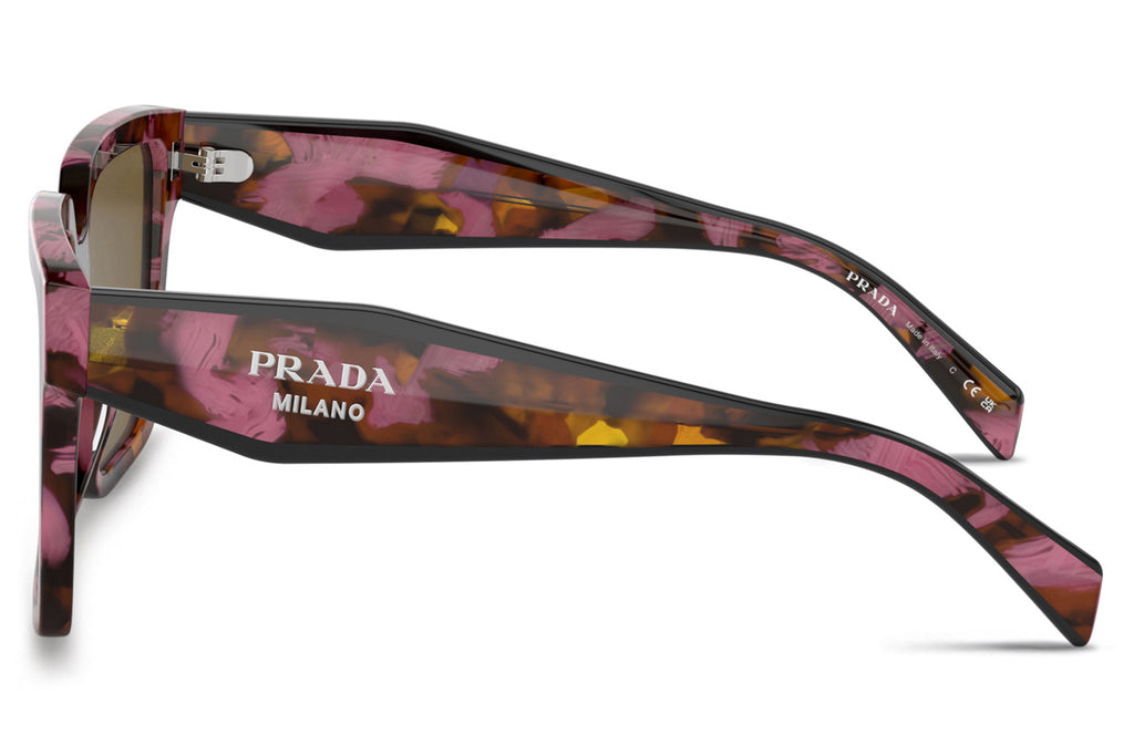 Prada - PR 24ZSF Sunglasses Tortoise Cognac Begonia with Dark Brown Lenses (18N01T)