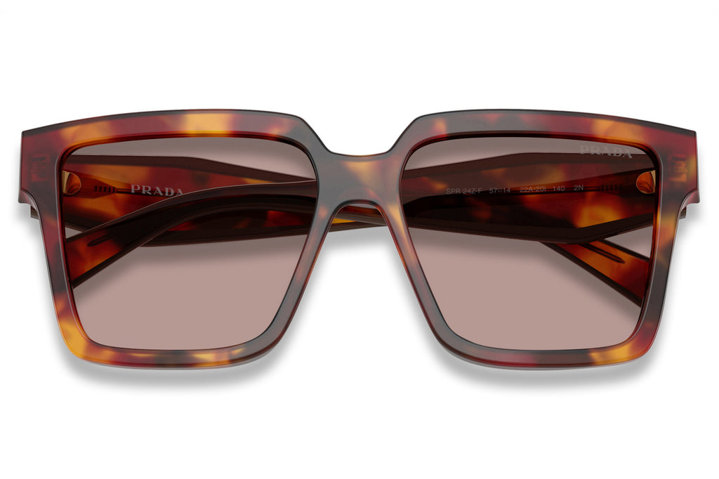 Prada - PR 24ZSF Sunglasses Poppy Tortoise with Light Purple Brown Lenses (22A20I)