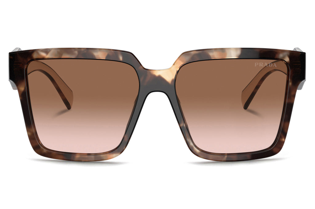 Prada - PR 24ZS Sunglasses Caramel Tortoise with Brown Gradient Lenses (07R0A6)