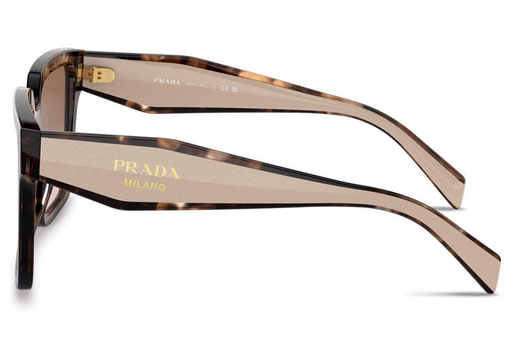 Prada - PR 24ZS Sunglasses Caramel Tortoise with Brown Gradient Lenses (07R0A6)