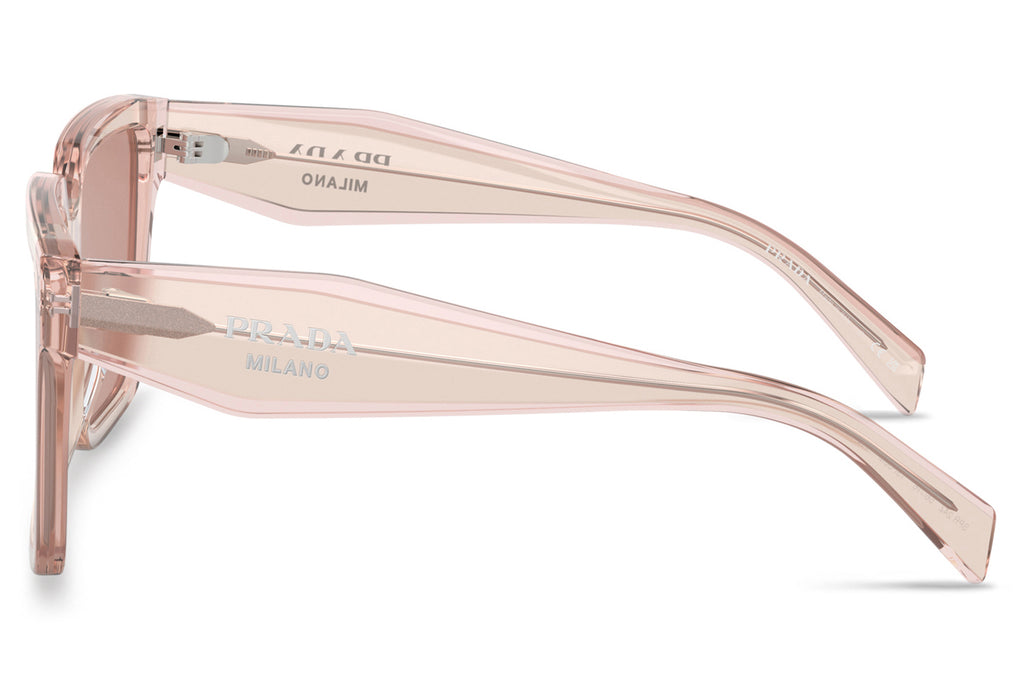 Prada - PR 24ZS Sunglasses Geranium/Petal Crystal with Dark Violet Lenses (13I08M)