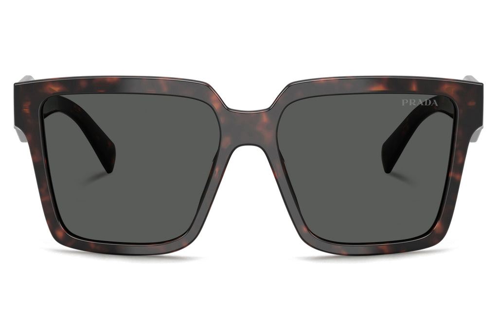 Prada - PR 24ZS Sunglasses Root Tortoise with Dark Grey Lenses (17N40L)
