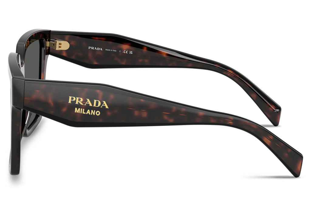 Prada - PR 24ZS Sunglasses Root Tortoise with Dark Grey Lenses (17N40L)