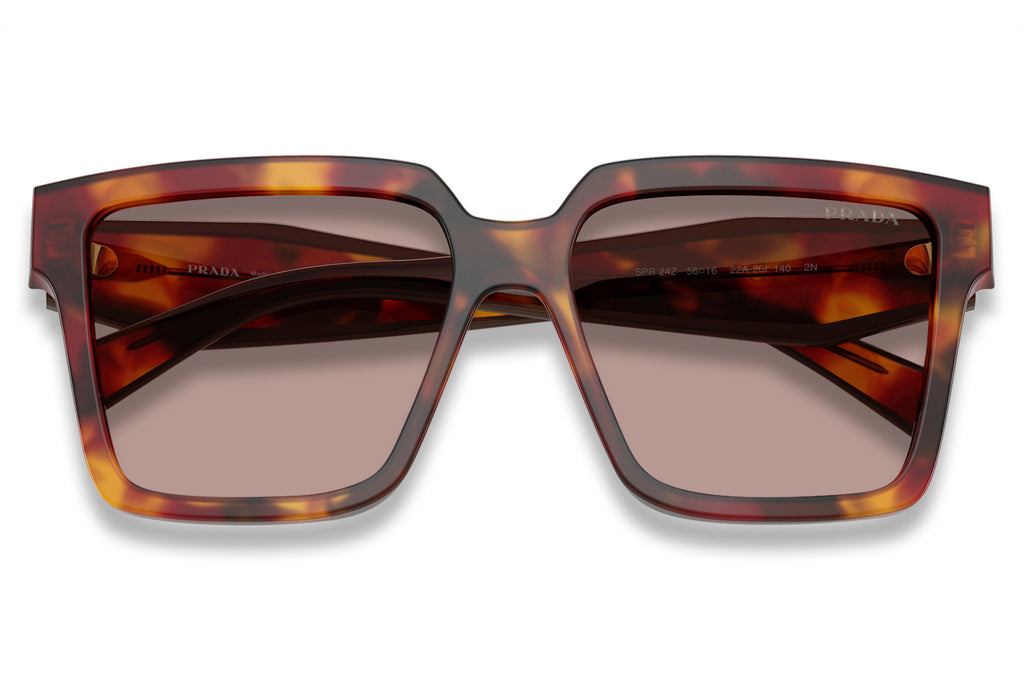 Prada - PR 24ZS Sunglasses Poppy Tortoise with Light Purple Brown Lenses (22A20I)