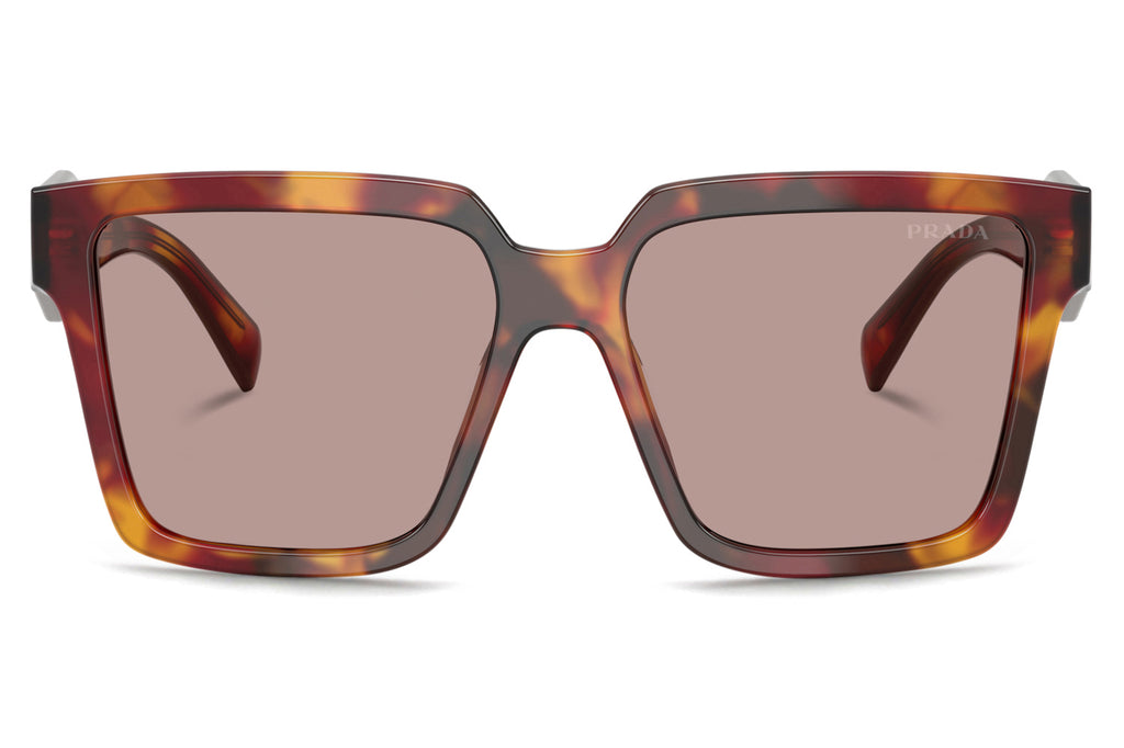 Prada - PR 24ZS Sunglasses Poppy Tortoise with Light Purple Brown Lenses (22A20I)