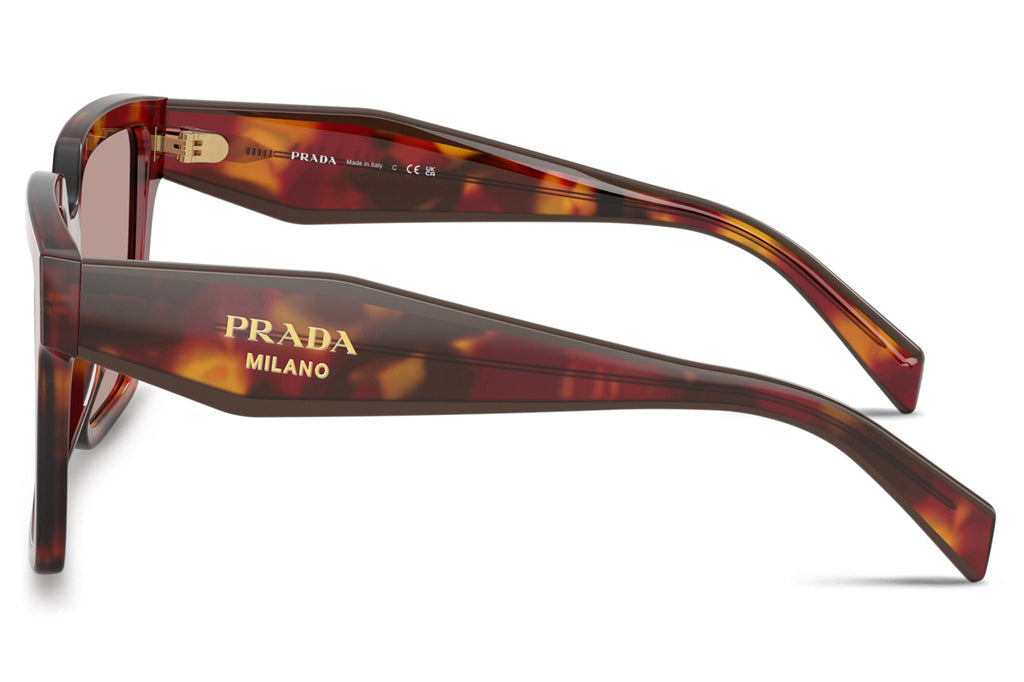 Prada - PR 24ZS Sunglasses Poppy Tortoise with Light Purple Brown Lenses (22A20I)