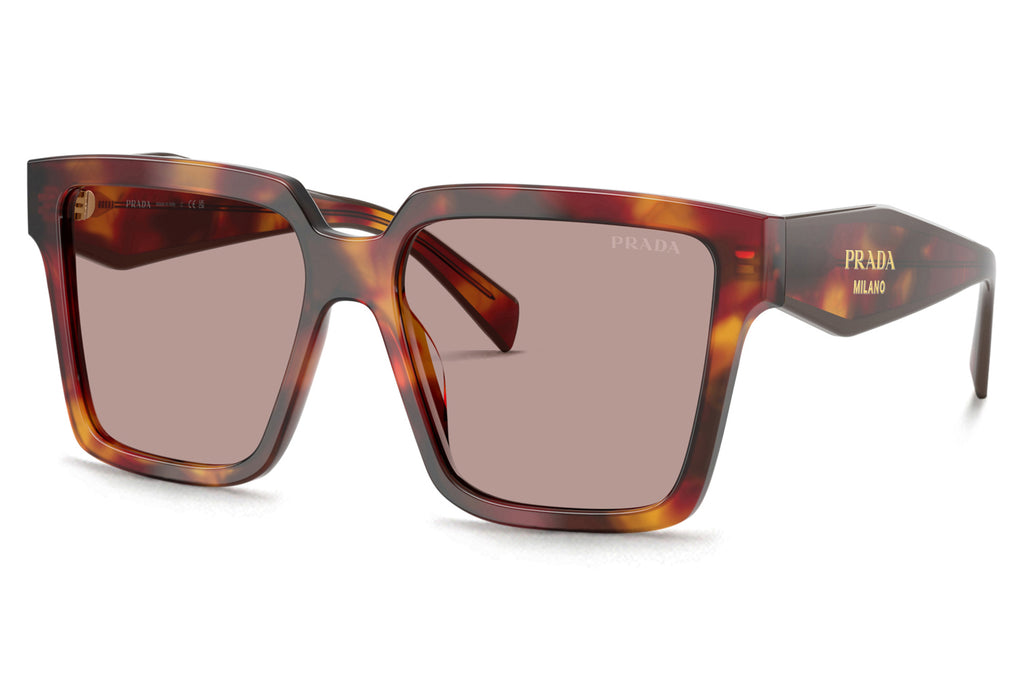 Prada - PR 24ZS Sunglasses Poppy Tortoise with Light Purple Brown Lenses (22A20I)
