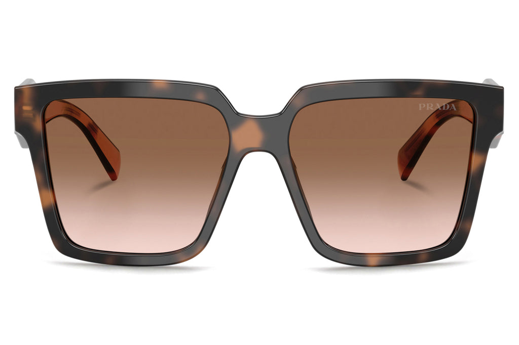Prada - PR 24ZS Sunglasses Mauve Tortoise with Brown Gradient Lenses (23A0A6)