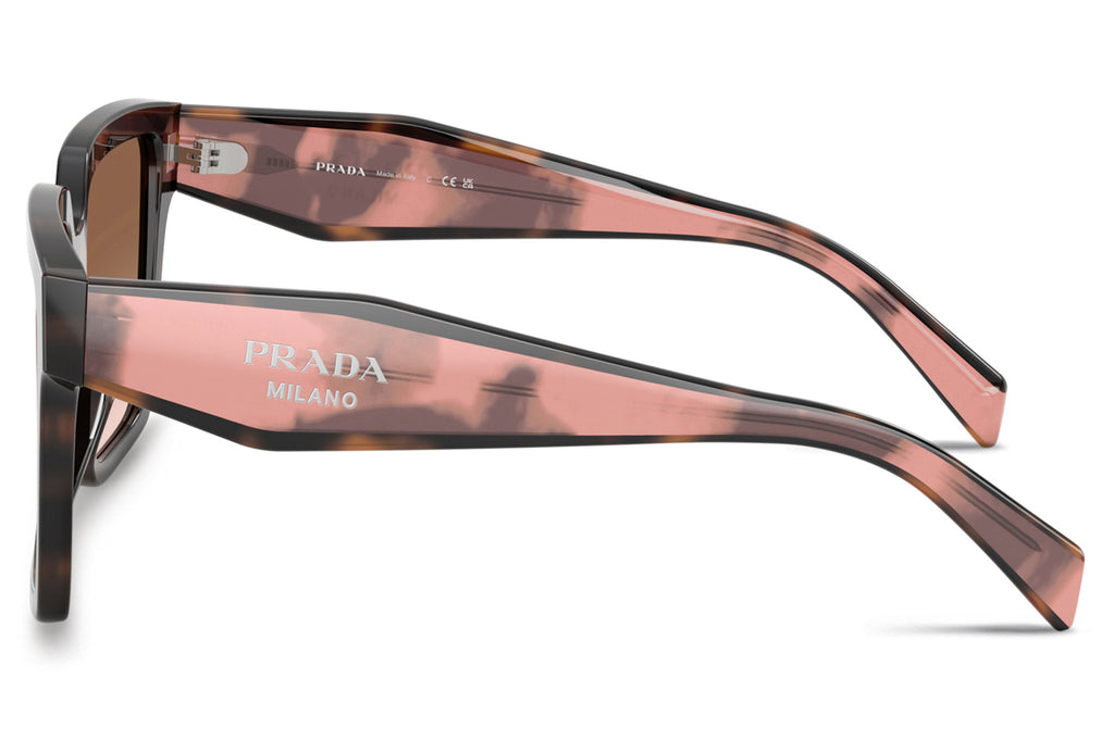 Prada - PR 24ZS Sunglasses Mauve Tortoise with Brown Gradient Lenses (23A0A6)