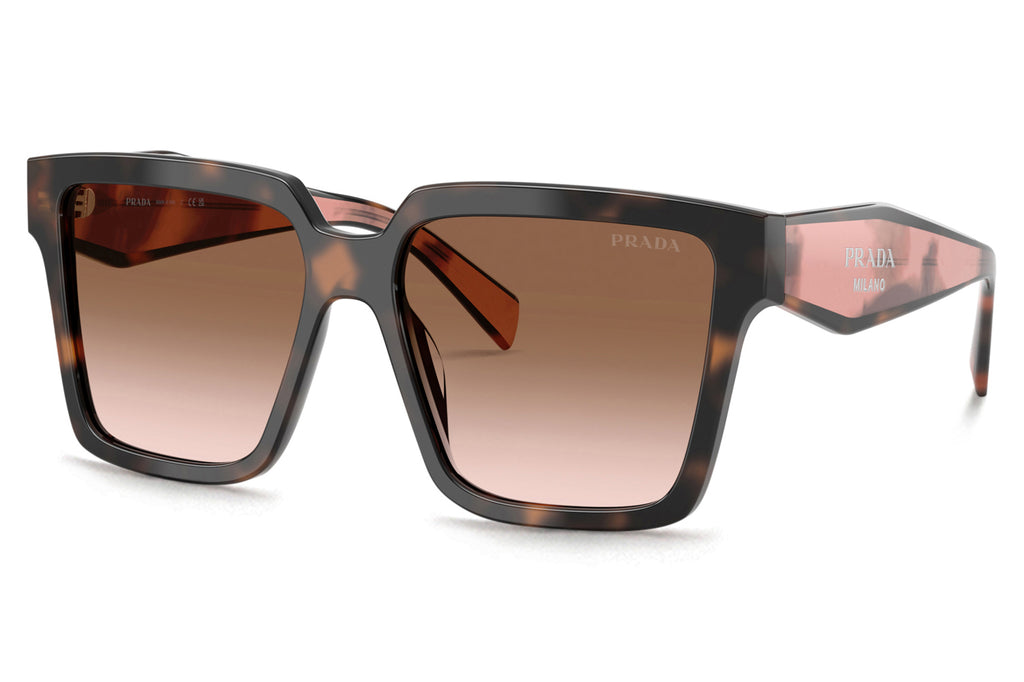 Prada - PR 24ZS Sunglasses Mauve Tortoise with Brown Gradient Lenses (23A0A6)
