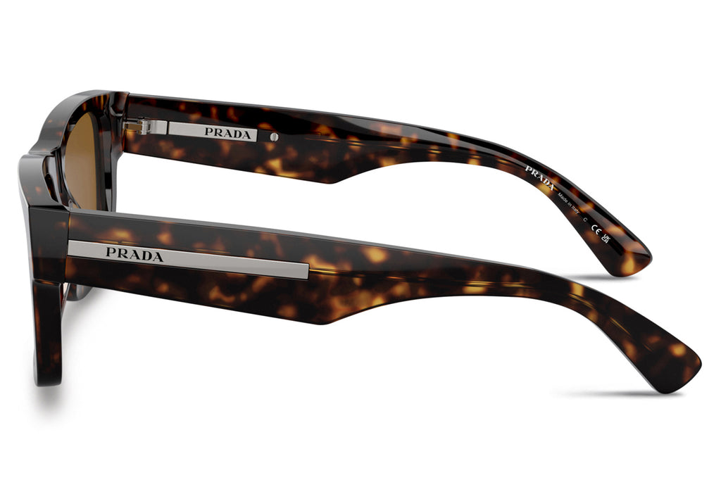 Prada - PR 25ZSF Sunglasses Tortoise with Brown Lenses (2AU0B0)