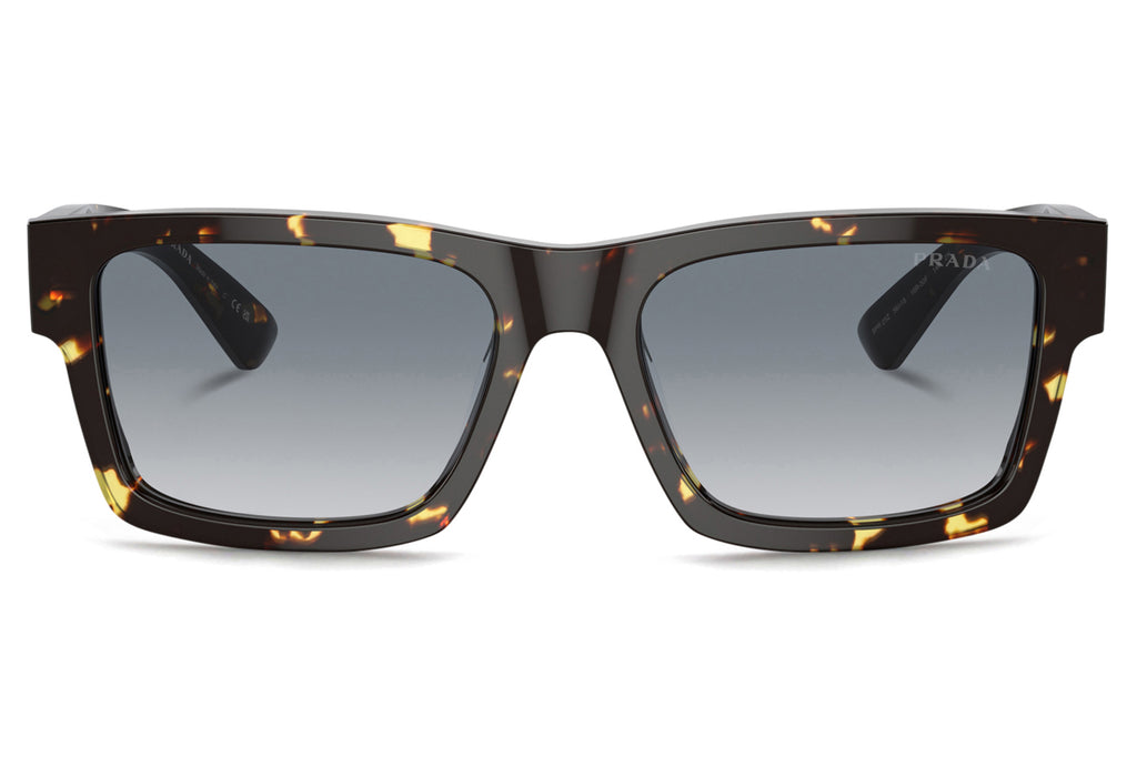 Prada - PR 25ZS Sunglasses Black Malt Tortoise with Grey Gradient Lenses (16R30F)