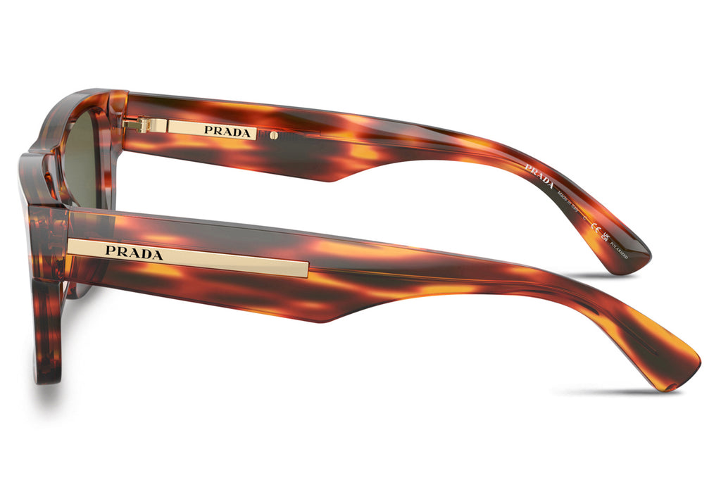 Prada - PR 25ZS Sunglasses Striped Briar Tortoise with Green Polar Lenses (16S03R)
